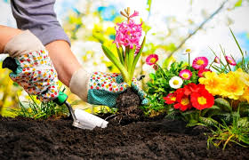 Flower Gardening